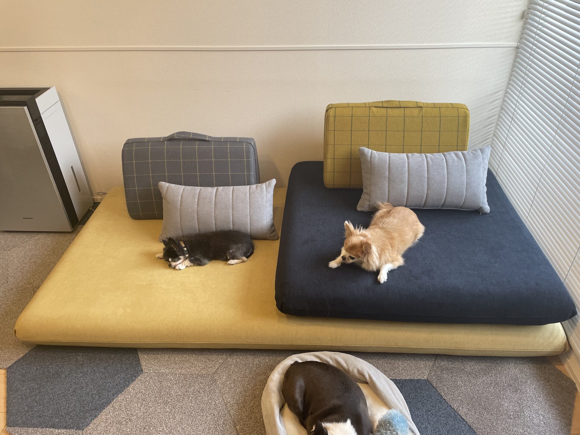 キャリーソファ コーン 2人掛けローソファ ローソファー