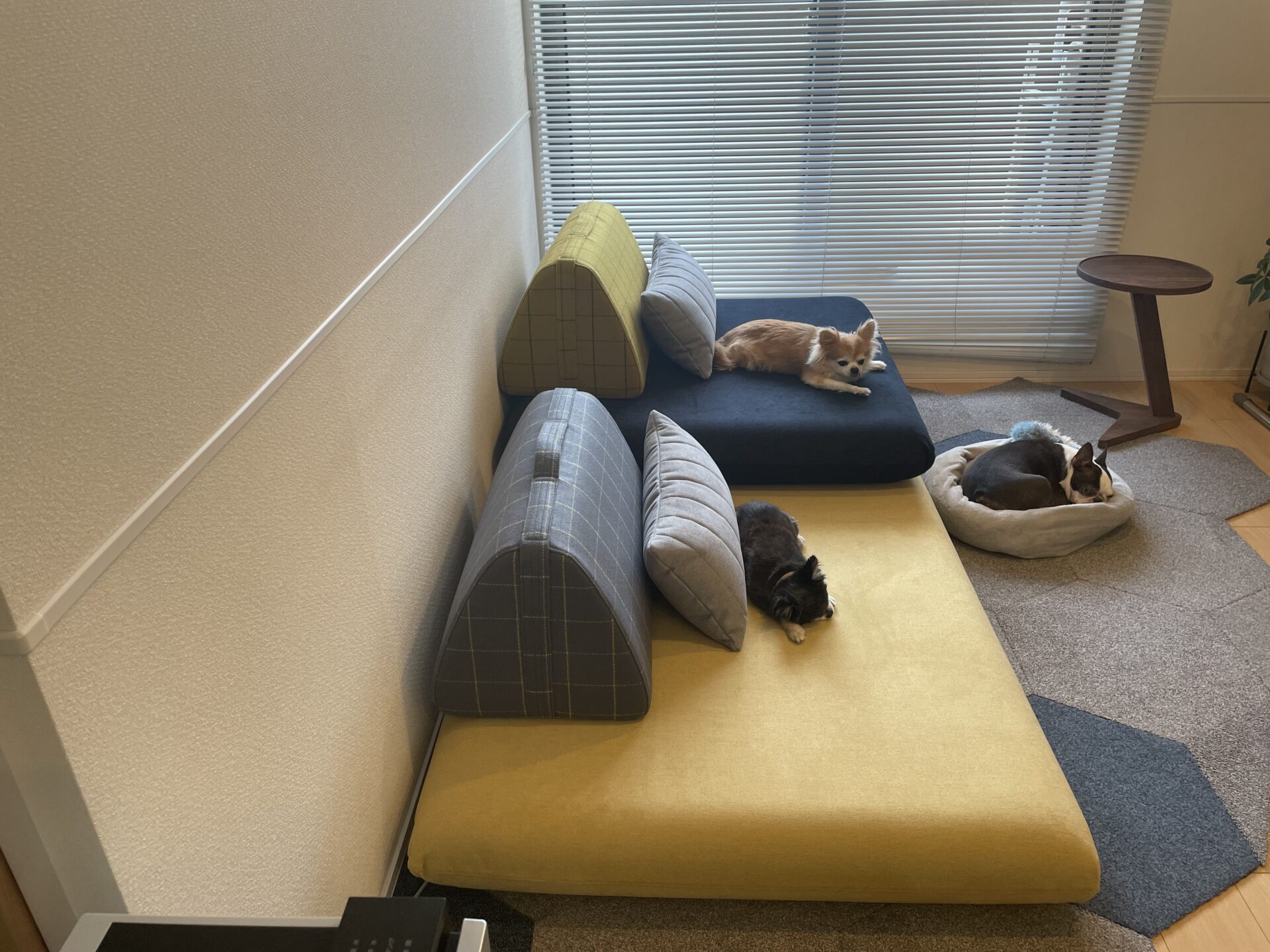 キャリーソファ コーン 2人掛けローソファ ローソファー