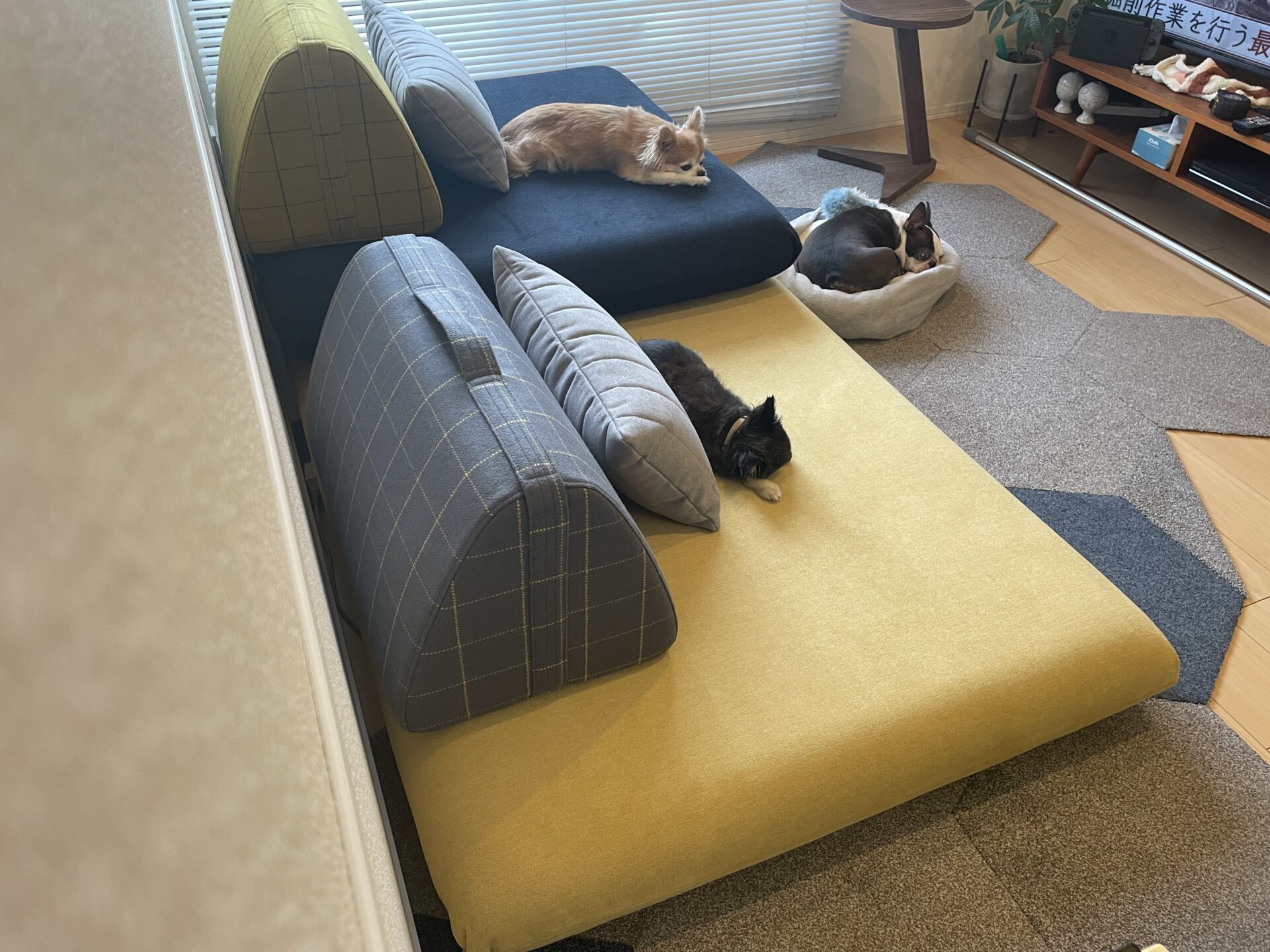 キャリーソファ コーン 2人掛けローソファ ローソファー