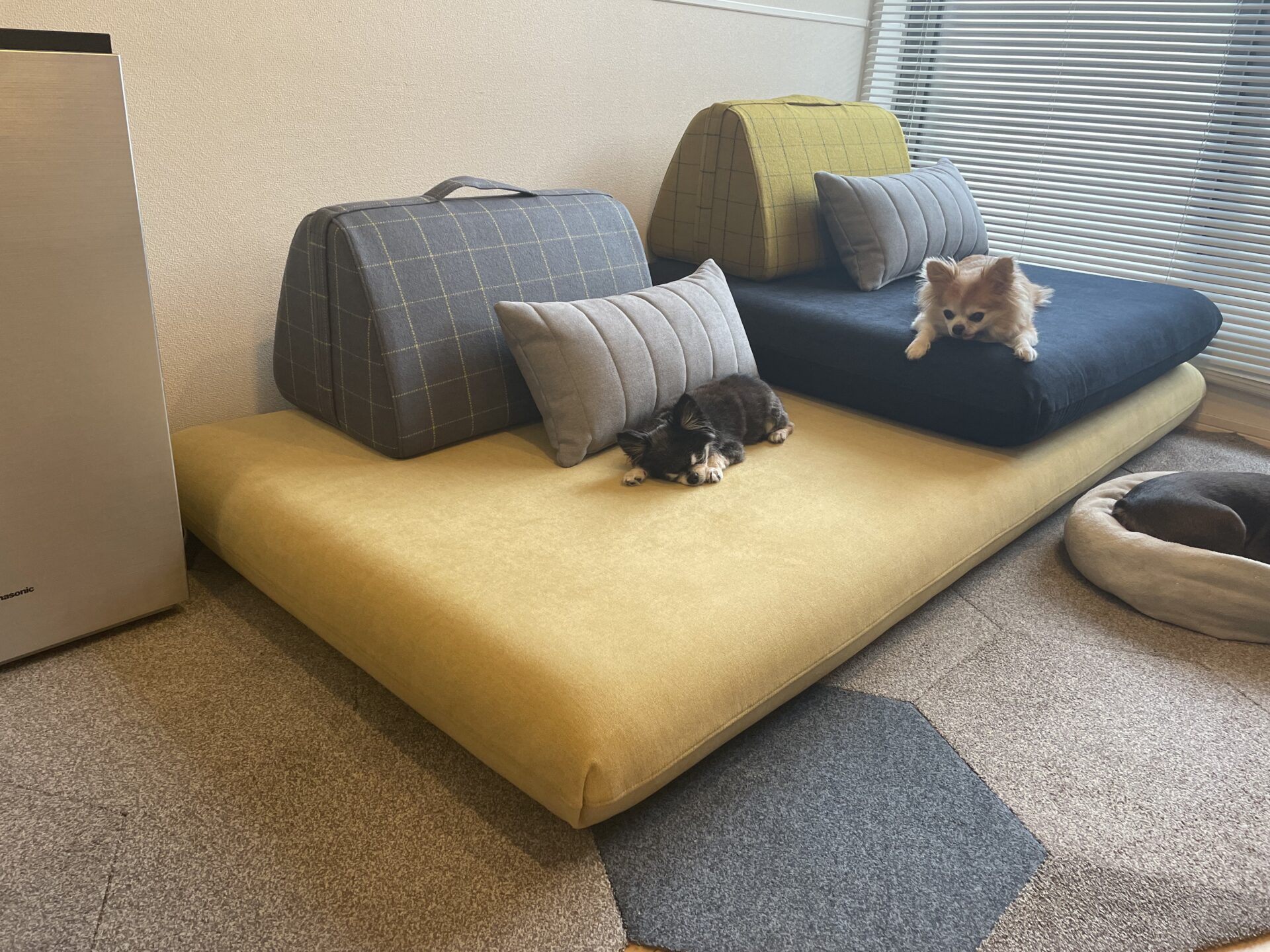 キャリーソファ コーン 2人掛けローソファ ローソファー