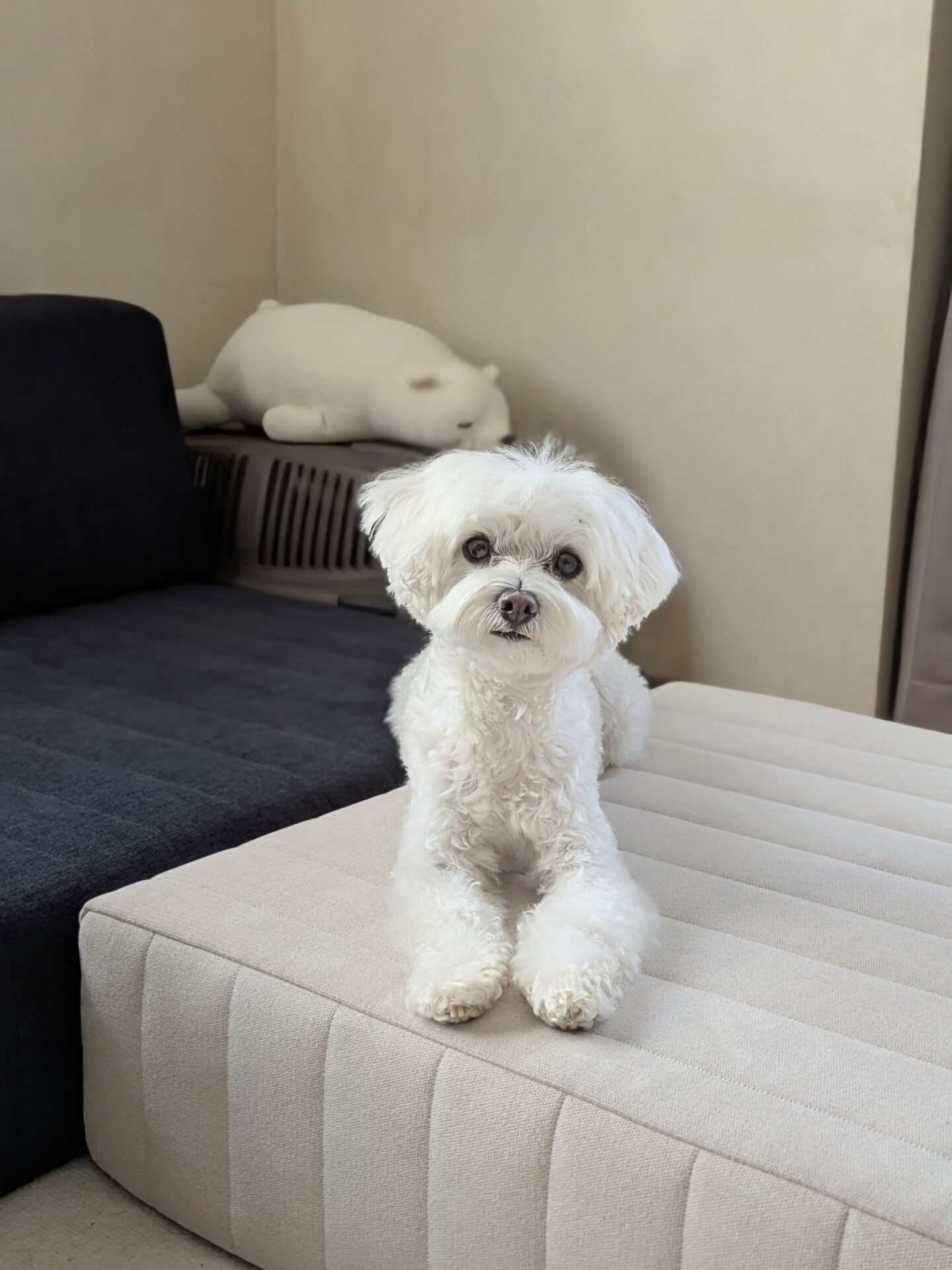 つみきソファ ミッドナイト 3人掛けローソファ ローソファー