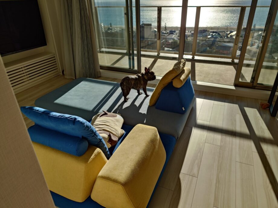 海の見える家の、ブルーのローソファで、愛犬とゆったり暮らす。
