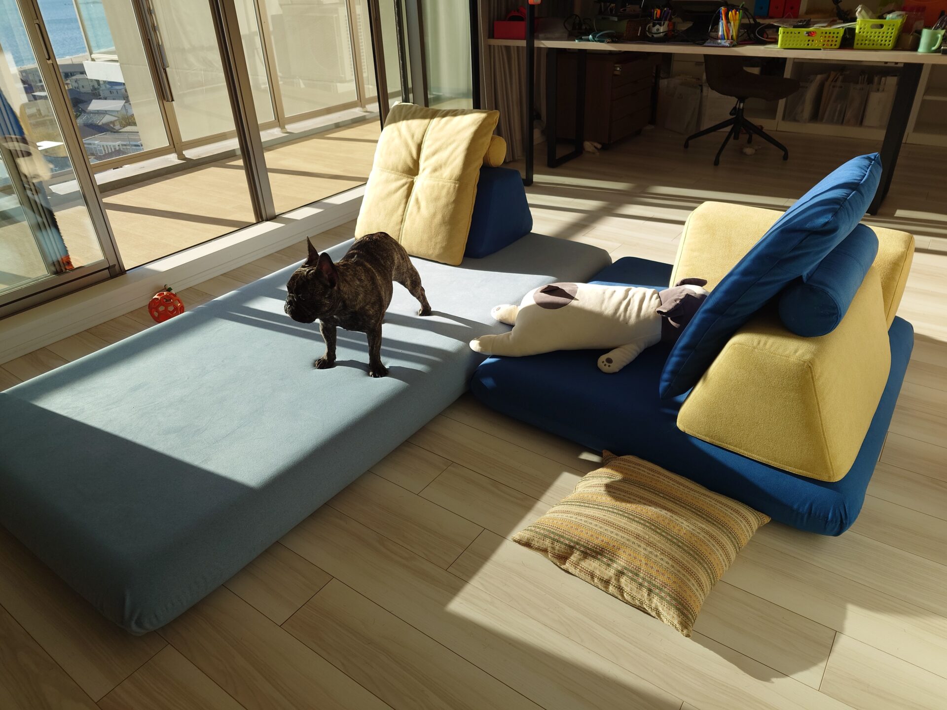 キャリーソファ 店舗限定カラー 2人掛けローソファ ローソファー