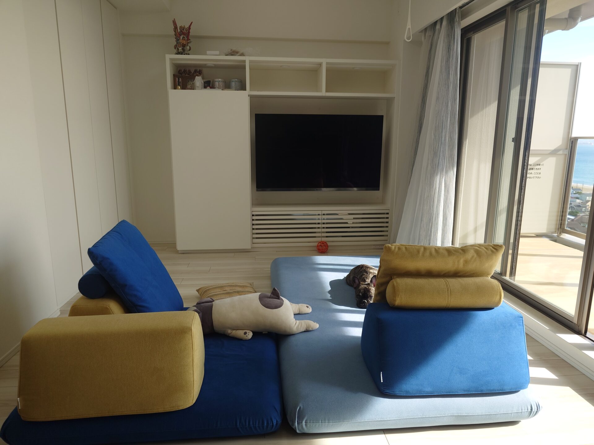 キャリーソファ 店舗限定カラー 2人掛けローソファ ローソファー