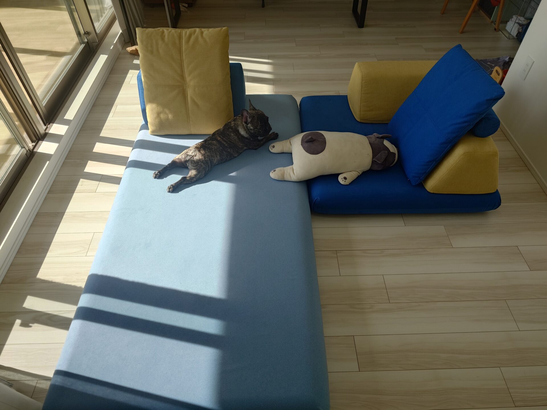 キャリーソファ 店舗限定カラー 2人掛けローソファ ローソファー