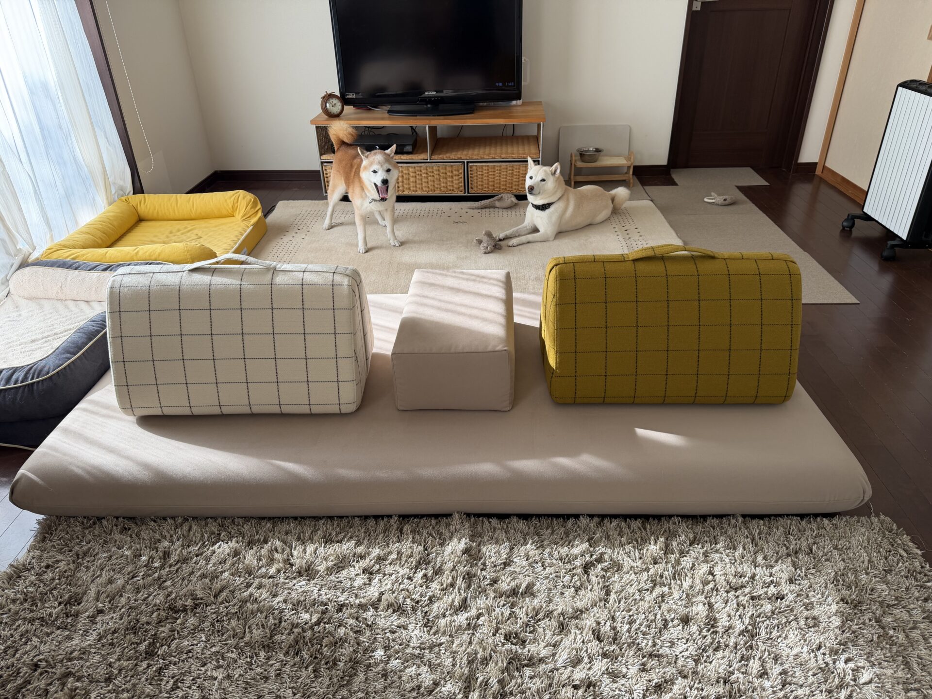 キャリーソファ 店舗限定カラー 2人掛けローソファ ローソファー