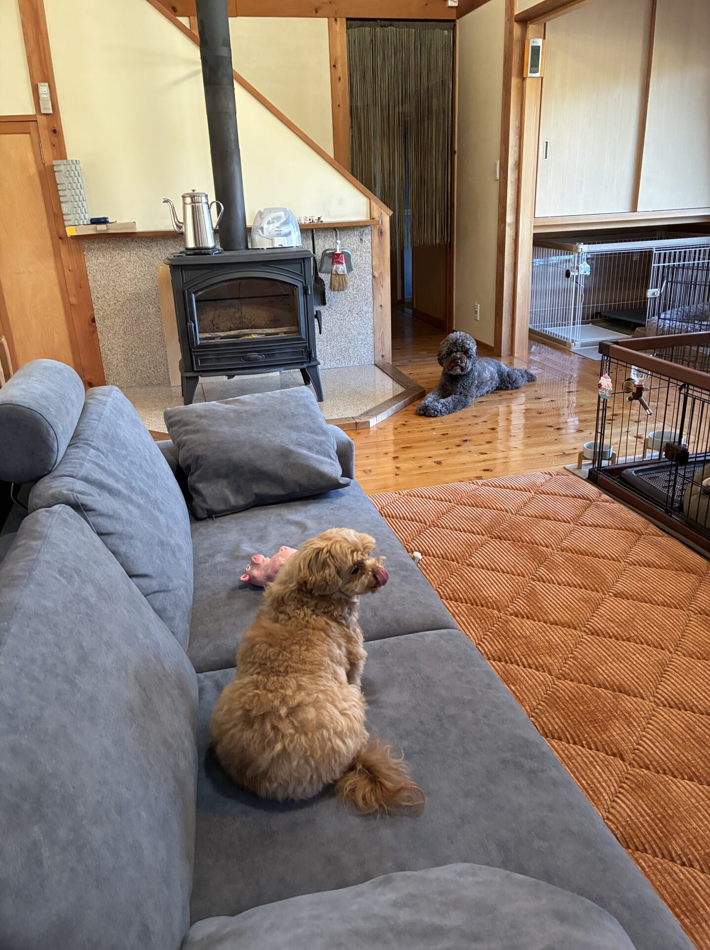 アルバソファ 店舗限定カラー 3人掛けローソファ ローソファー