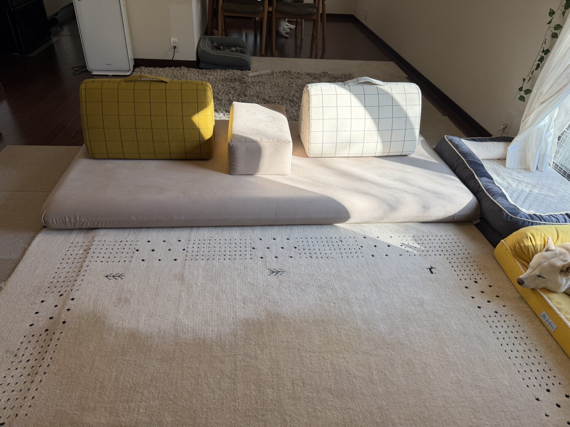 キャリーソファ 店舗限定カラー 2人掛けローソファ ローソファー