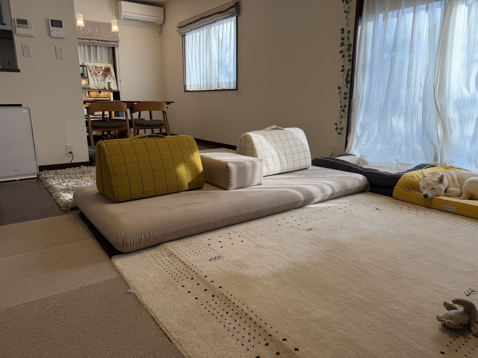 キャリーソファ 店舗限定カラー 2人掛けローソファ ローソファー