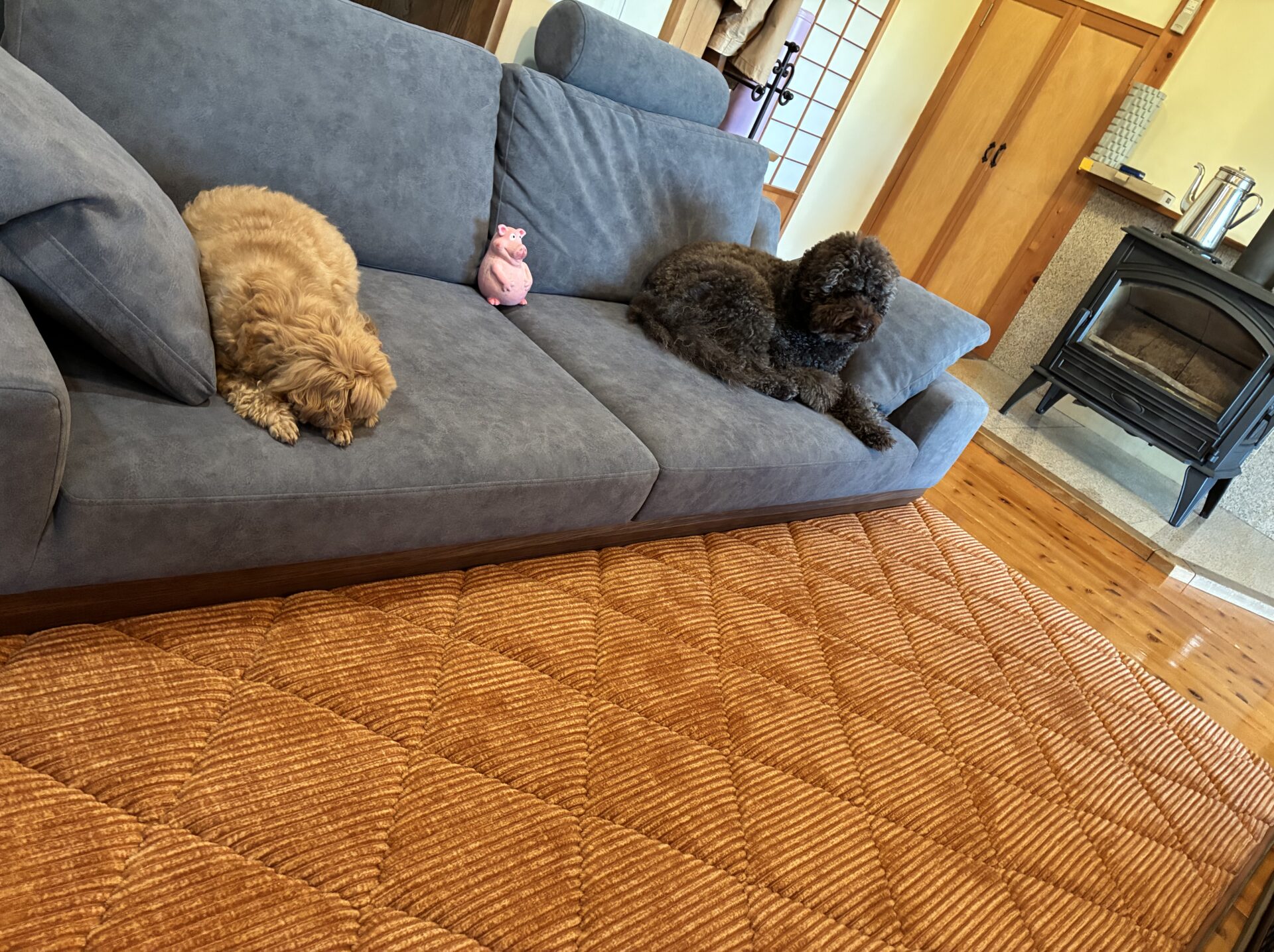 アルバソファ 店舗限定カラー 3人掛けローソファ ローソファー