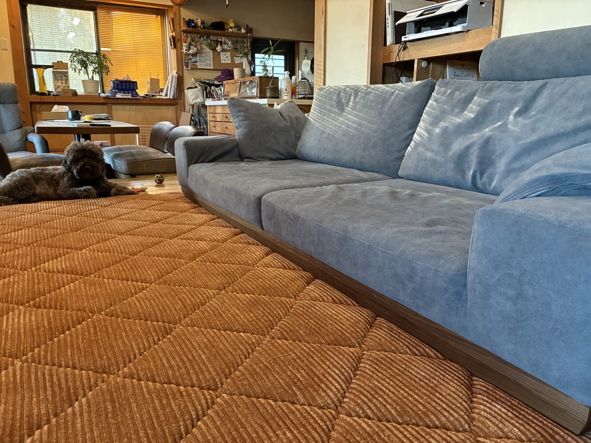 アルバソファ 店舗限定カラー 3人掛けローソファ ローソファー