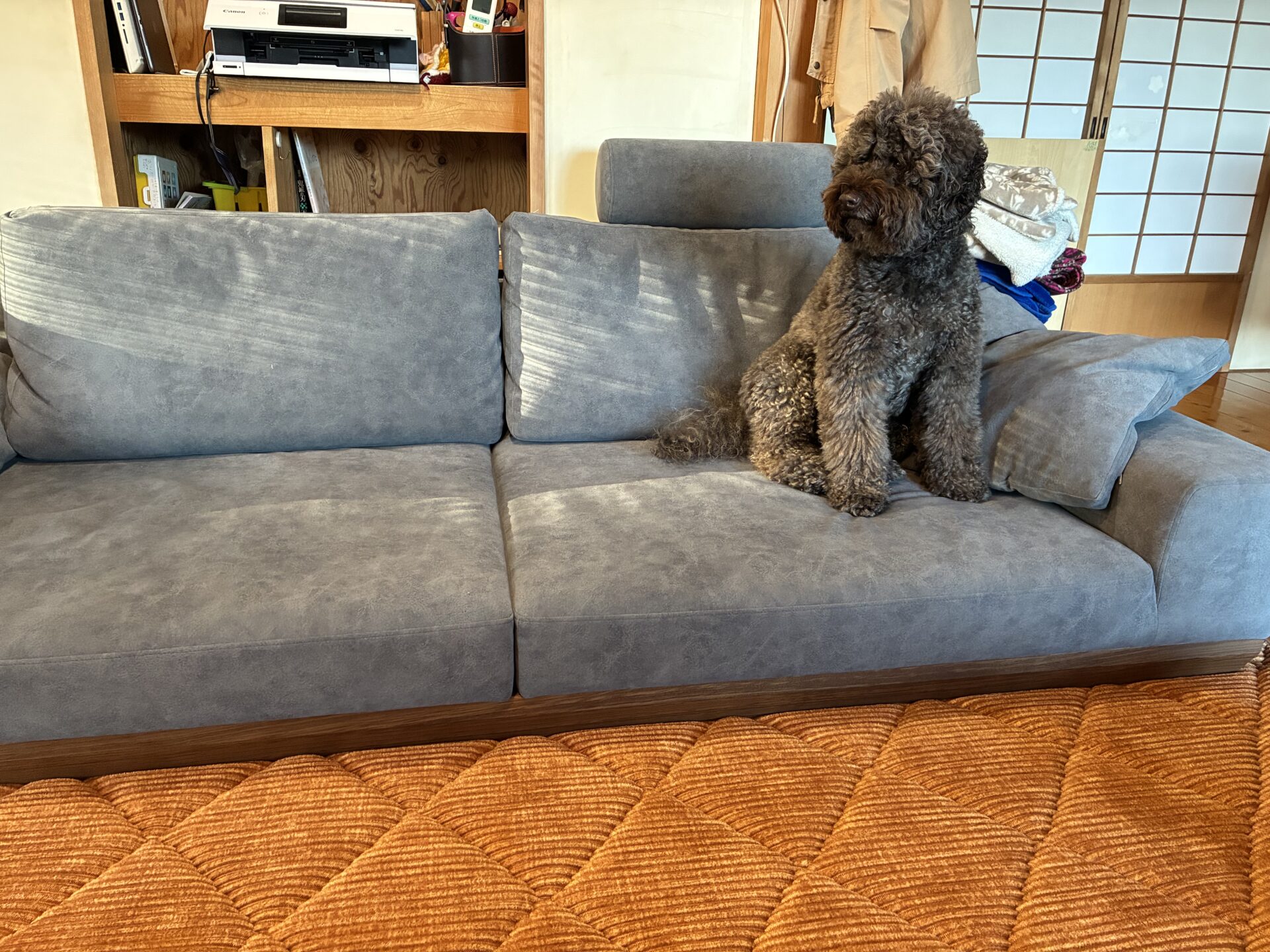 アルバソファ 店舗限定カラー 3人掛けローソファ ローソファー