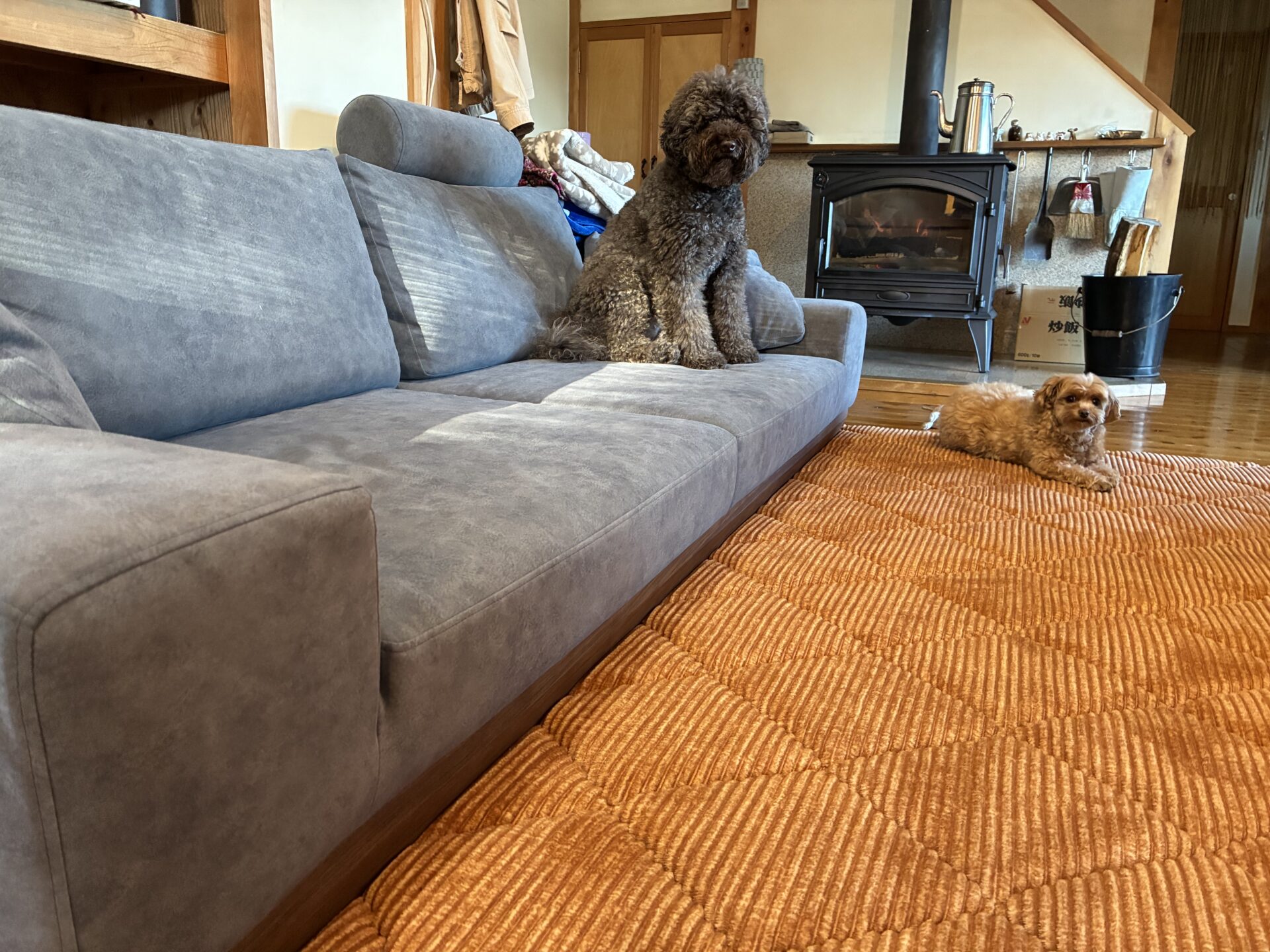 アルバソファ 店舗限定カラー 3人掛けローソファ ローソファー