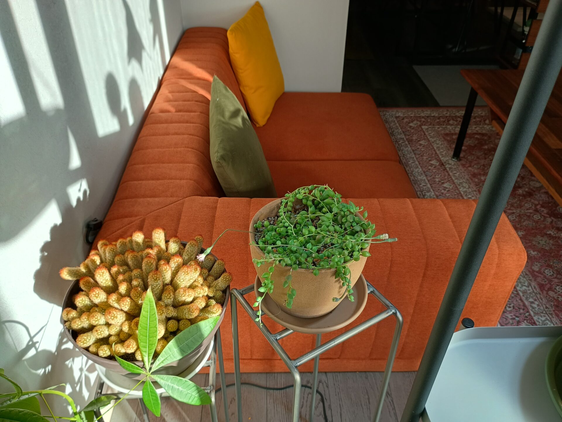 ピカソソファ パンプキン 2人掛けローソファ ローソファー