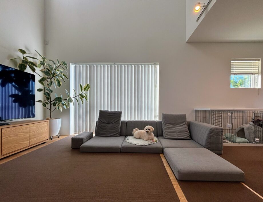 愛犬の足腰に負担が少ないローソファだから、安心してくつろげる。