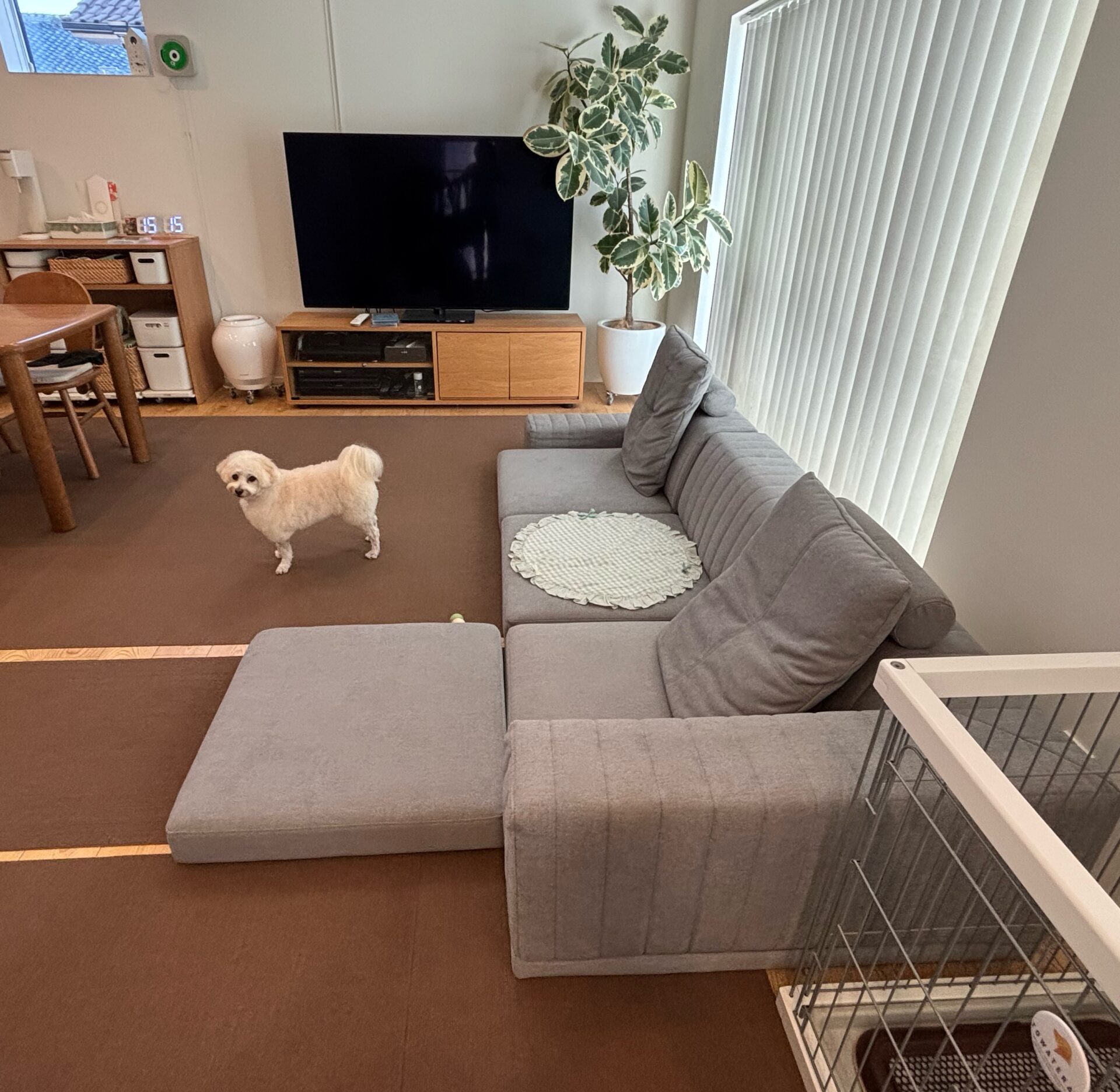 ピカソソファ ライトグレー 3人掛けローソファ ローソファー