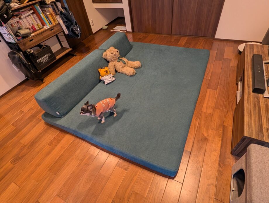 小型犬の小さな足腰にもやさしい、座面高10cmのフロアソファ。