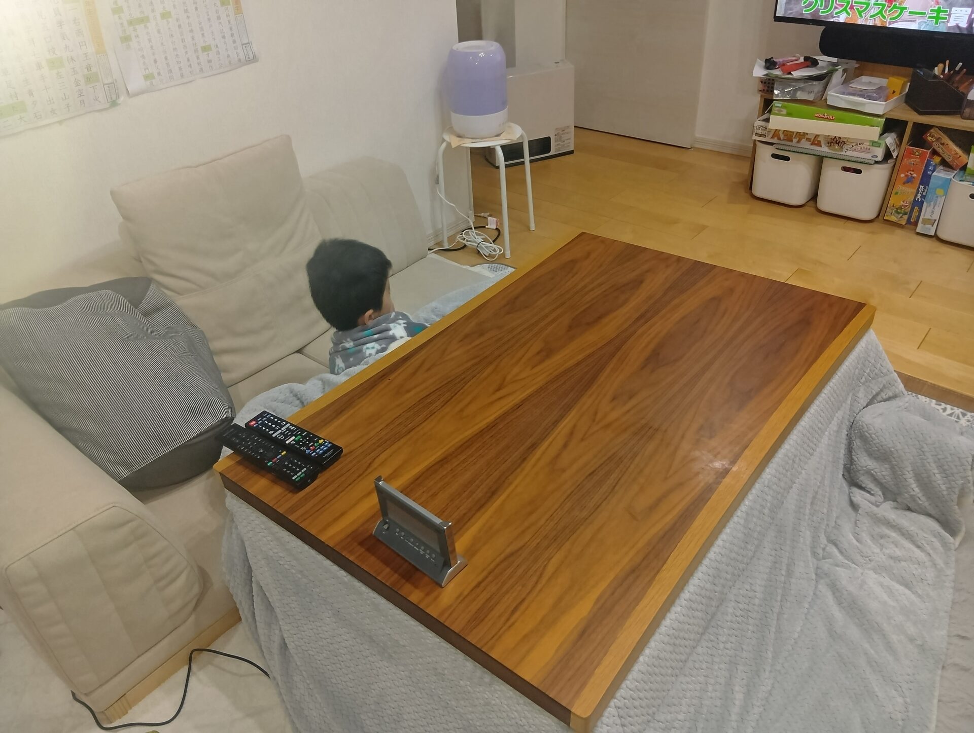 ピカソソファ ヘンプ 2人掛けローソファ ローソファー