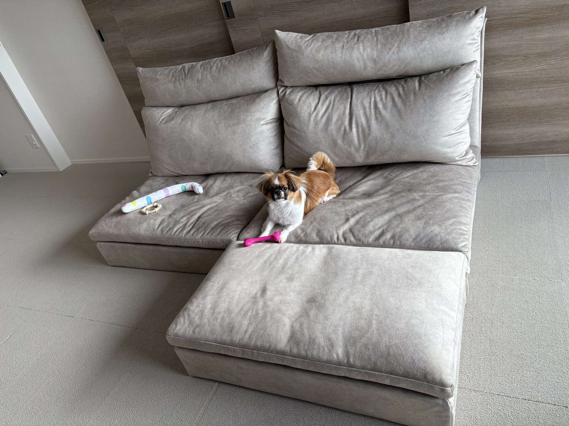 かこみソファ ベージュ 2人掛けローソファ ローソファー