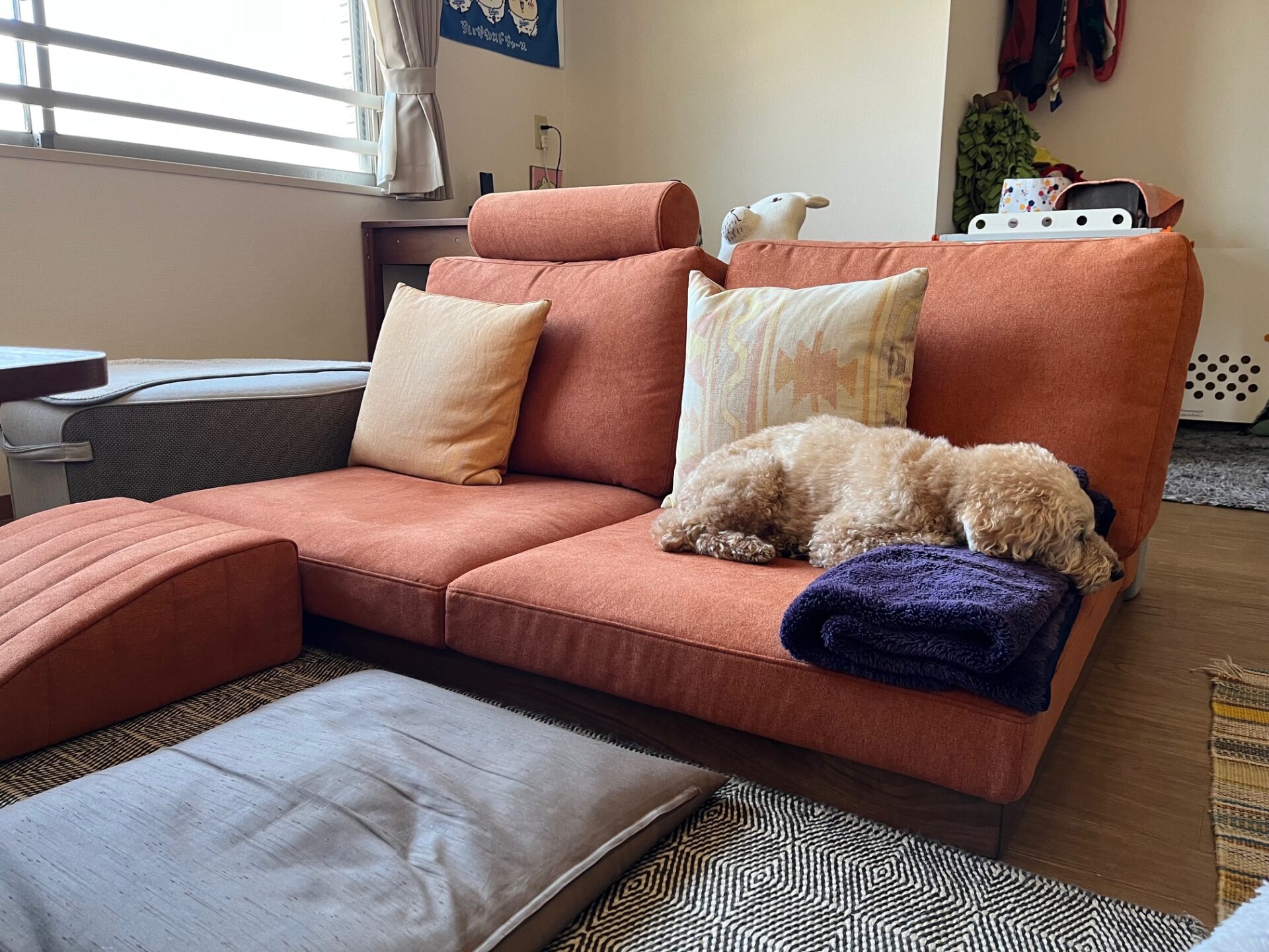 カーヤソファ パンプキン 2人掛けローソファ ローソファー