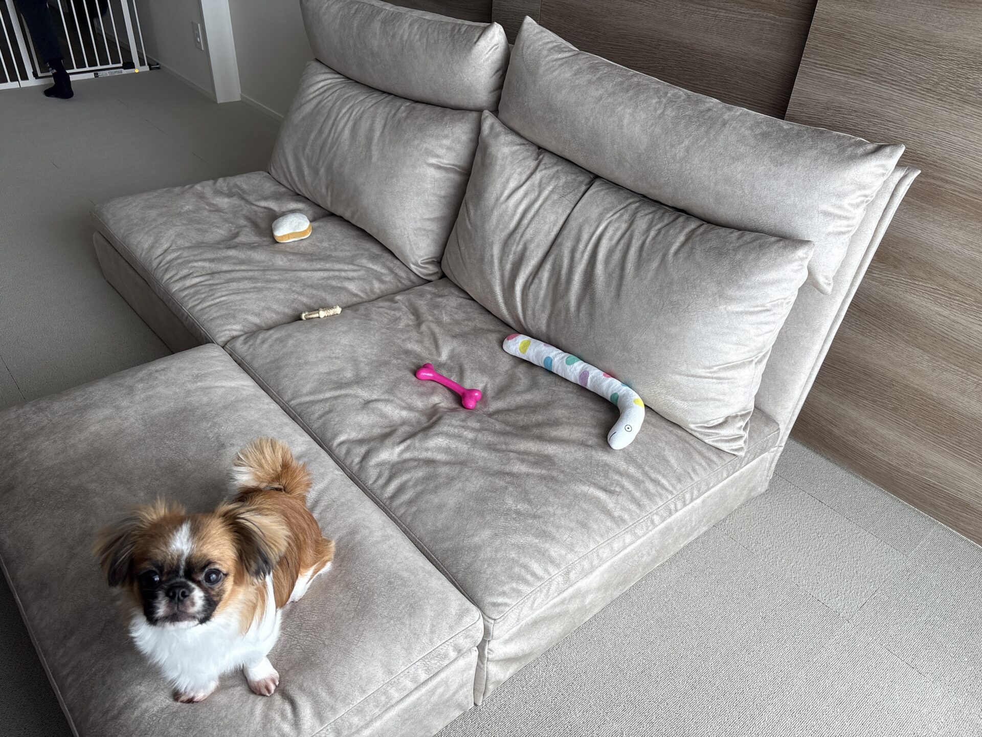 かこみソファ ベージュ 2人掛けローソファ ローソファー