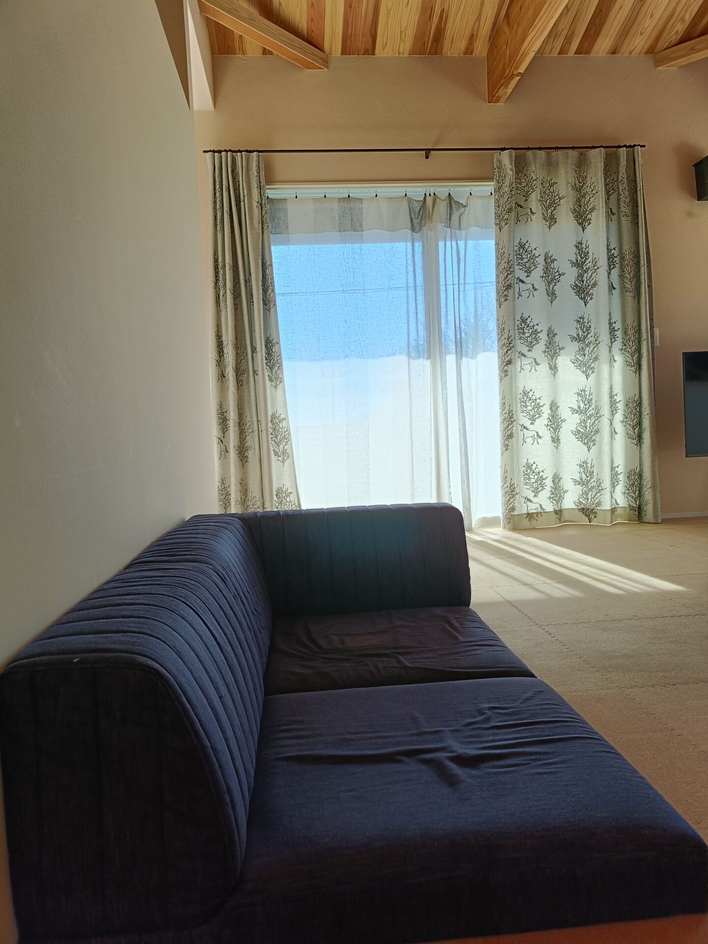 ピカソソファ ミッドナイト 2人掛けローソファ ローソファー