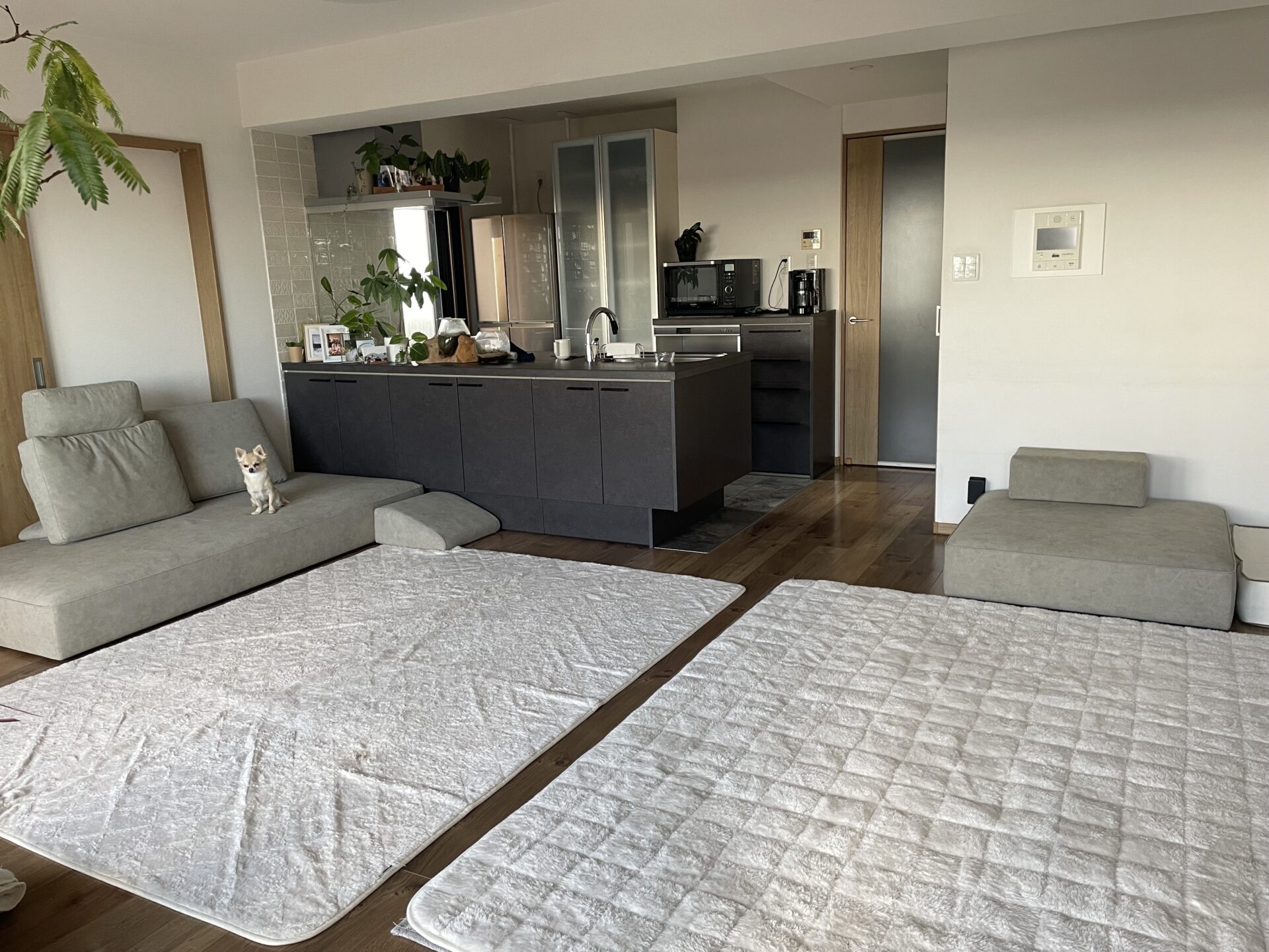 ウィズソファ サンドグレー 3人掛けローソファ ローソファー