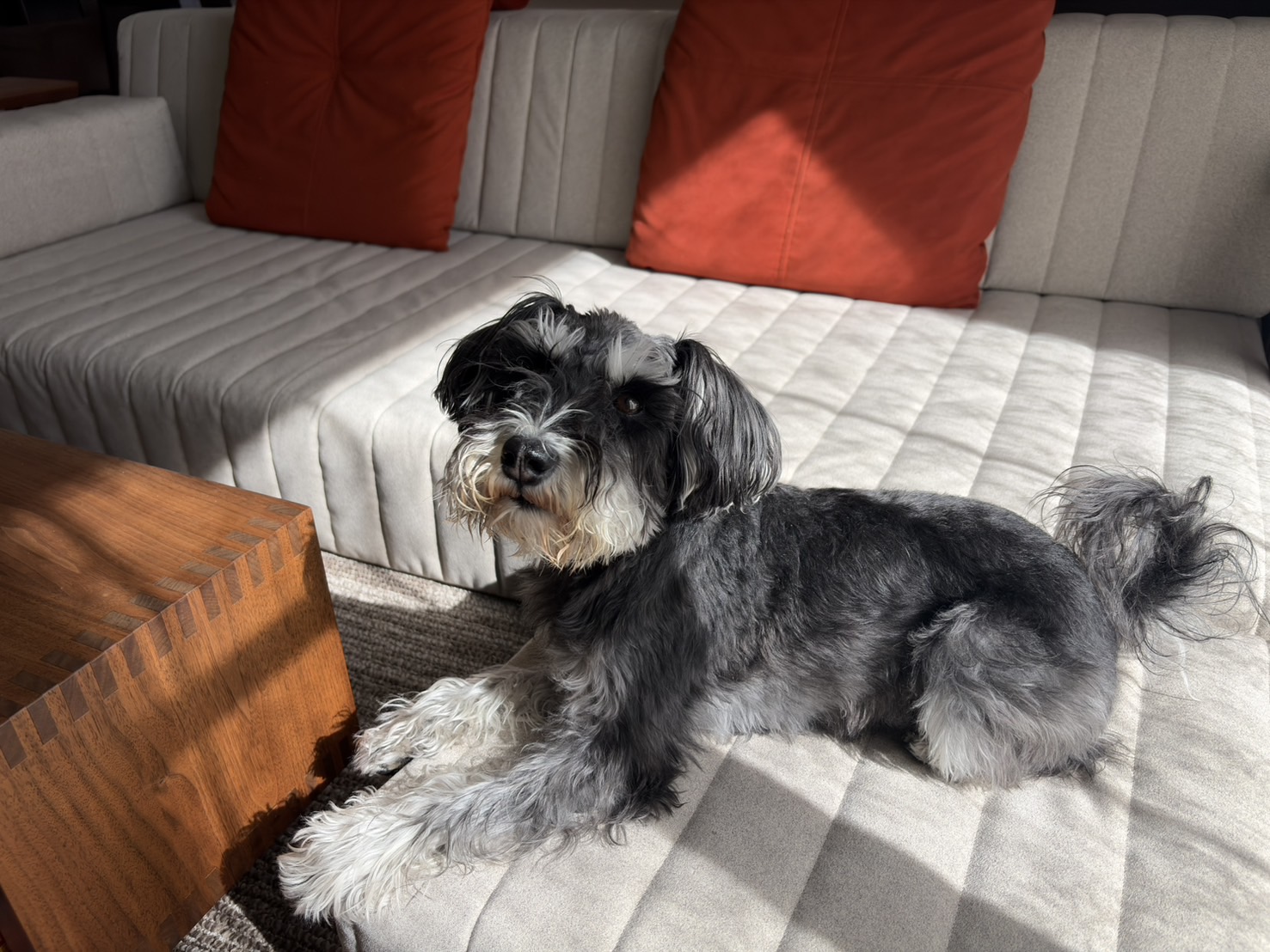 つみきソファ メランジグレー 3人掛けローソファ ローソファー