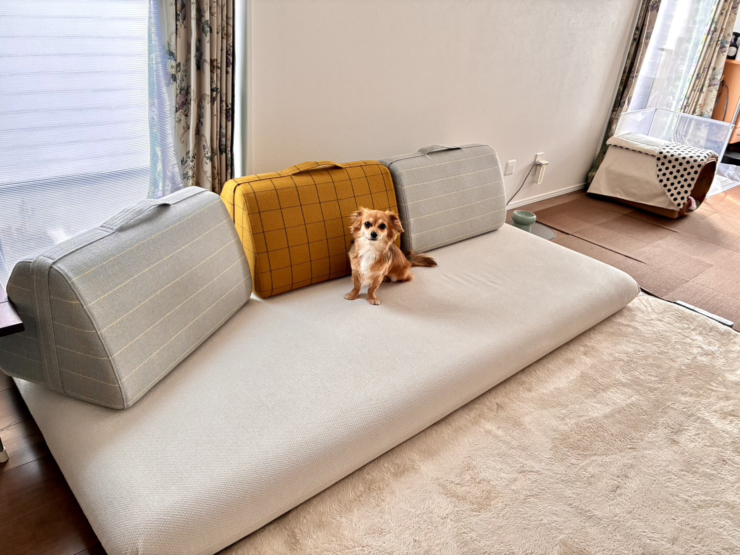 キャリーソファ ホワイト 3人掛けローソファ ローソファー