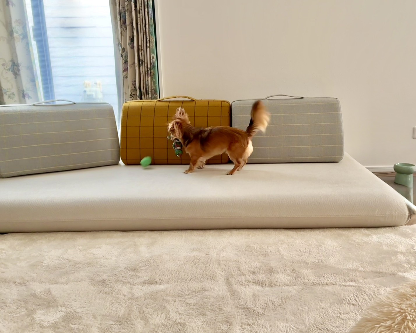 キャリーソファ ホワイト 3人掛けローソファ ローソファー