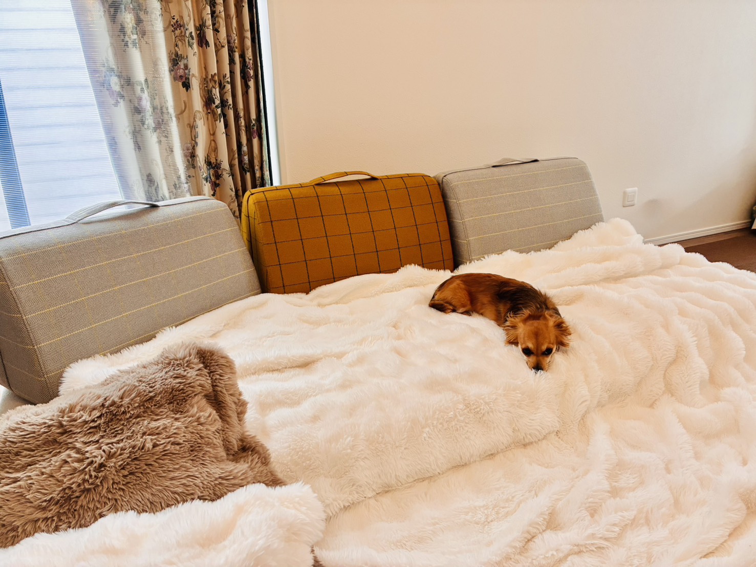 キャリーソファ ホワイト 3人掛けローソファ ローソファー