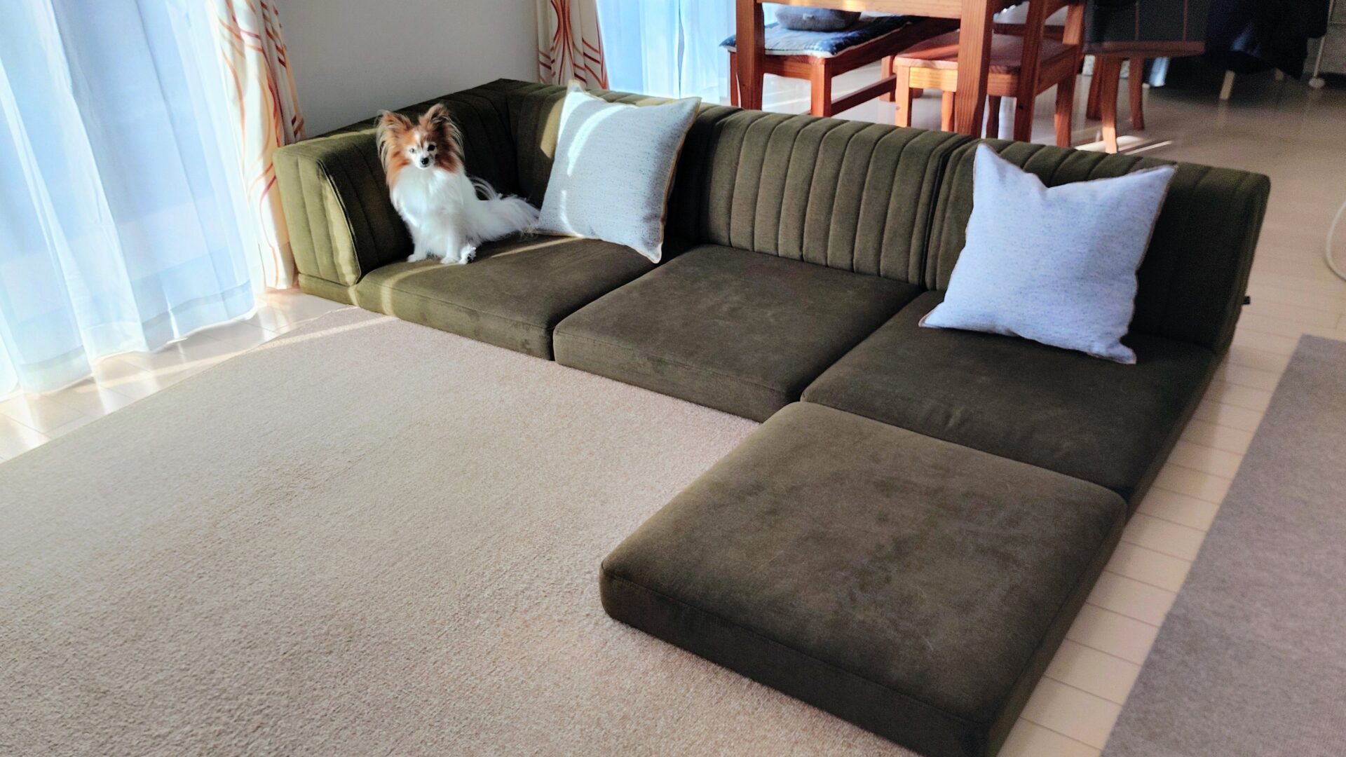 ピカソソファ 店舗限定カラー 3人掛けローソファ ローソファー