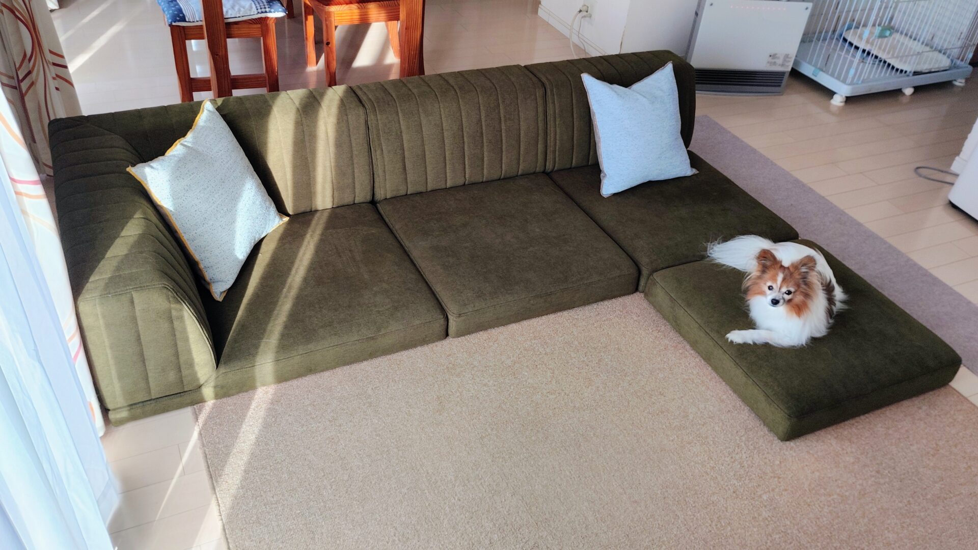 ピカソソファ 店舗限定カラー 3人掛けローソファ ローソファー