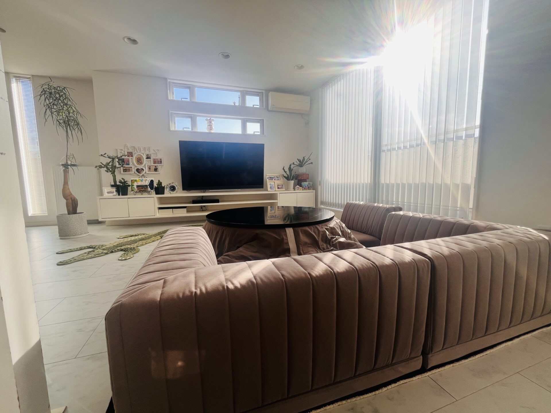 ピカソソファ グレージュ 3人掛けローソファ ローソファー