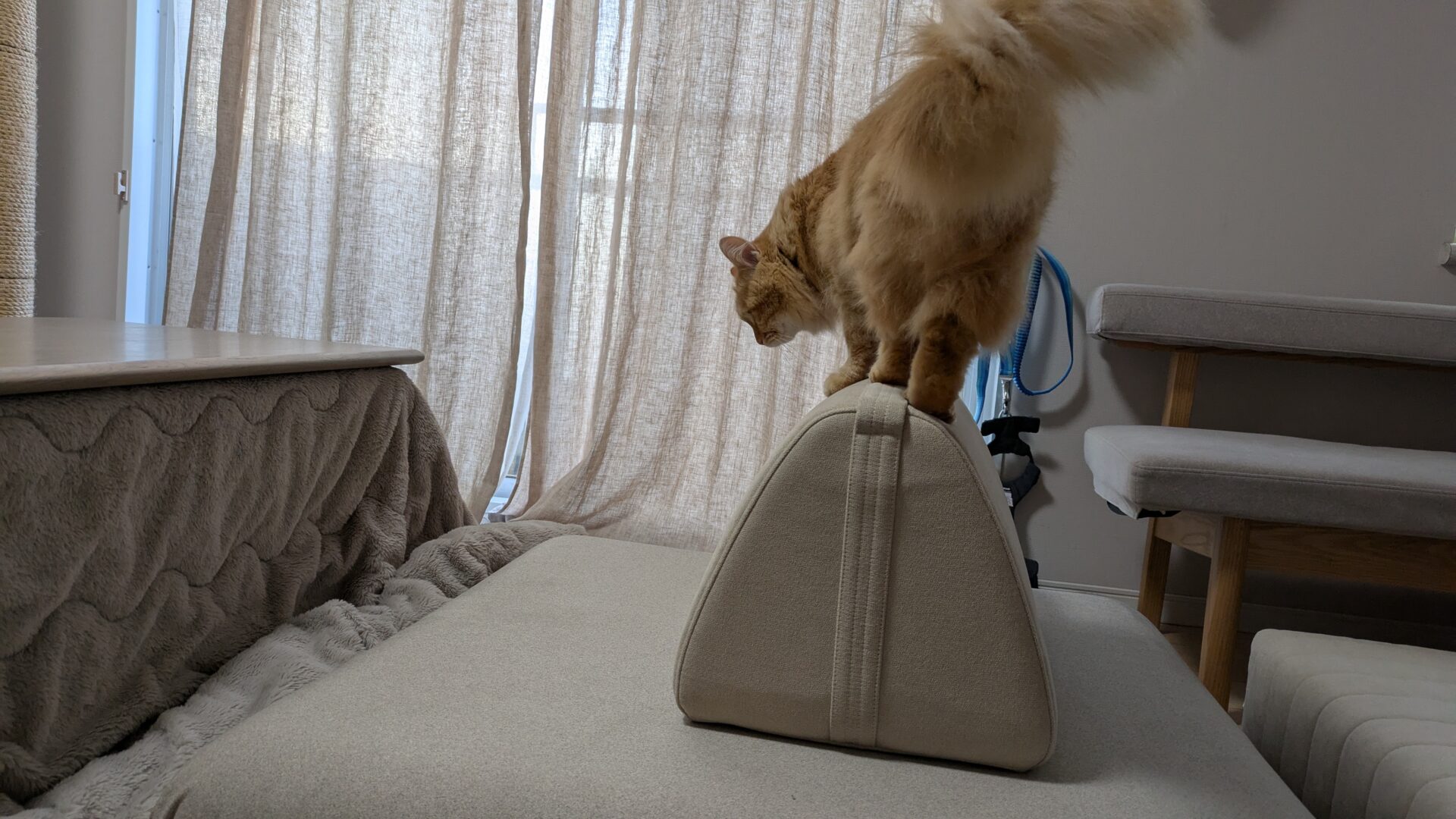 キャリーソファ メランジグレー 1人掛けローソファ ローソファー