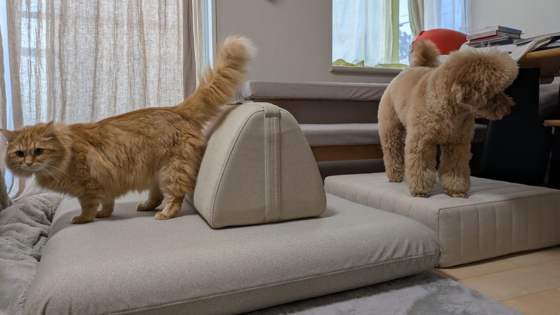 キャリーソファ メランジグレー 1人掛けローソファ ローソファー