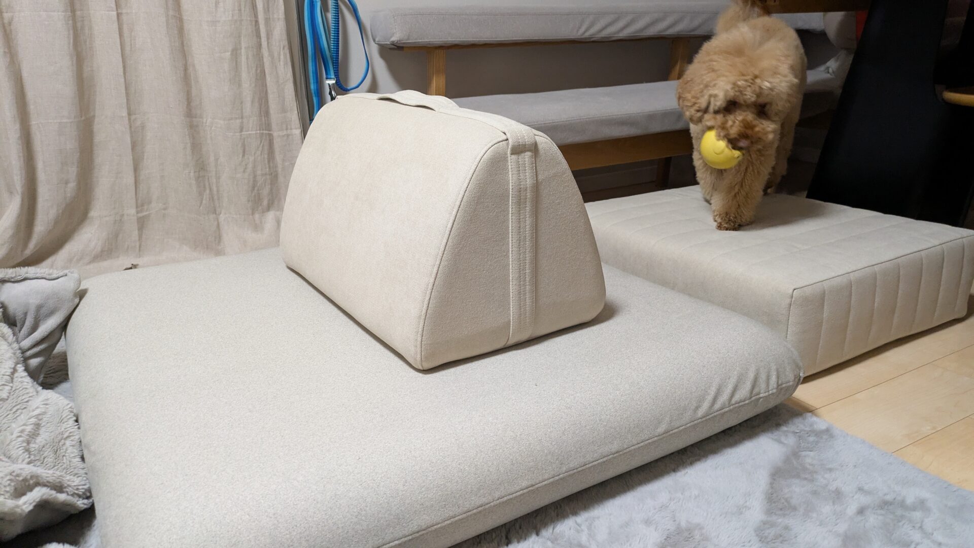 キャリーソファ メランジグレー 1人掛けローソファ ローソファー