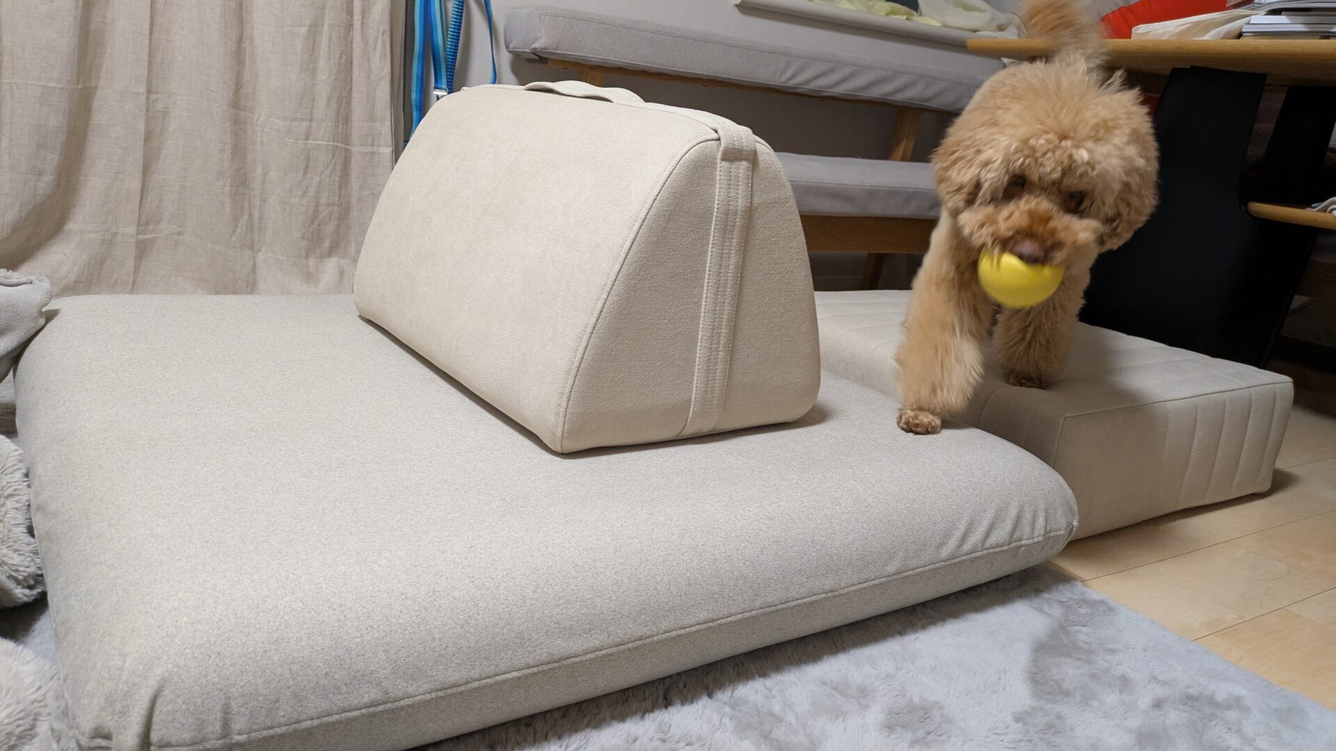 キャリーソファ メランジグレー 1人掛けローソファ ローソファー