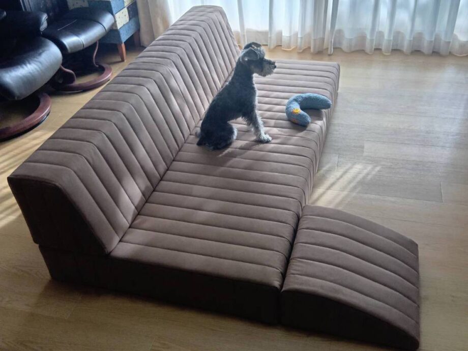 スロープクッションで、愛犬のソファの上り下りの負担を軽減。
