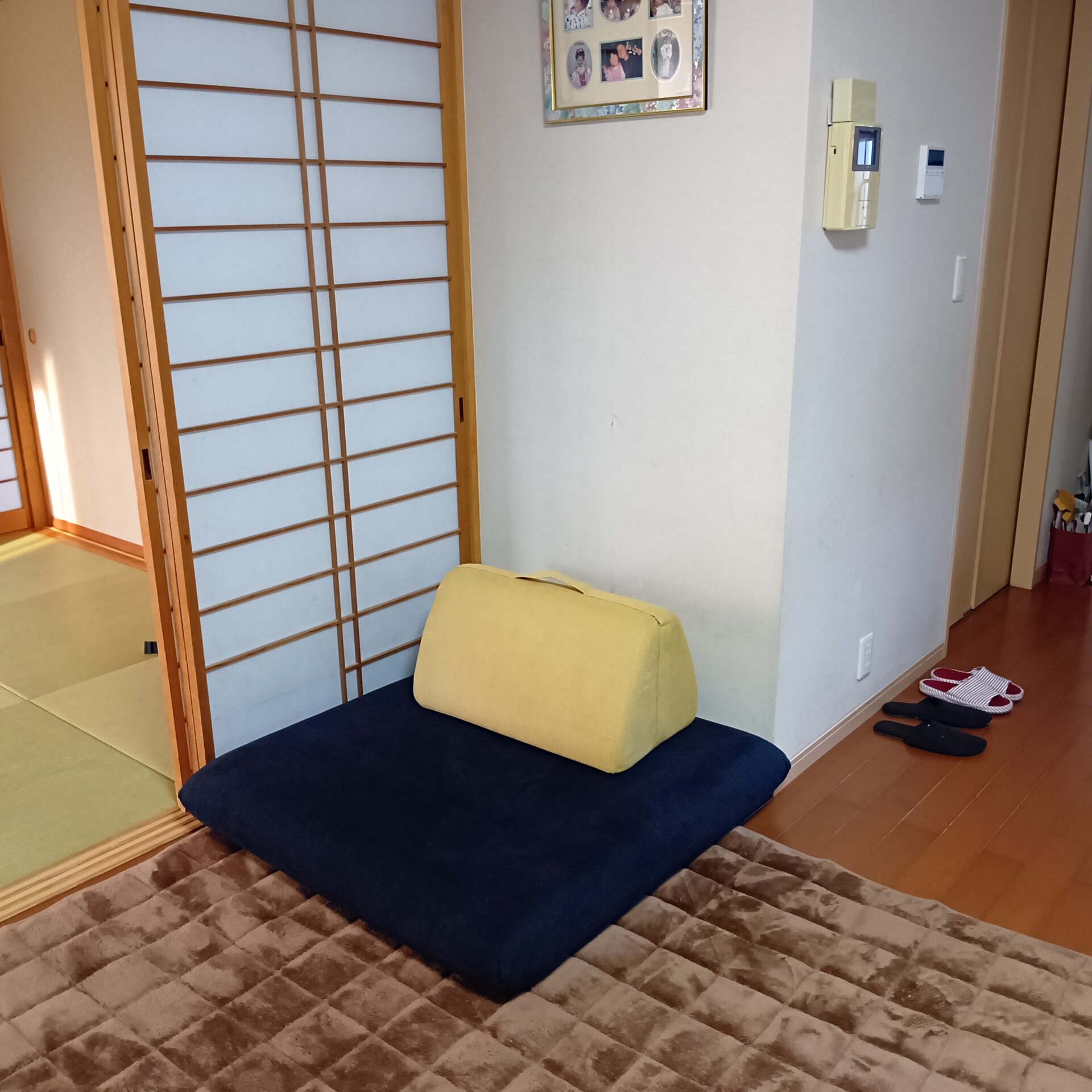 キャリーソファ ミッドナイト 1人掛けローソファ ローソファー