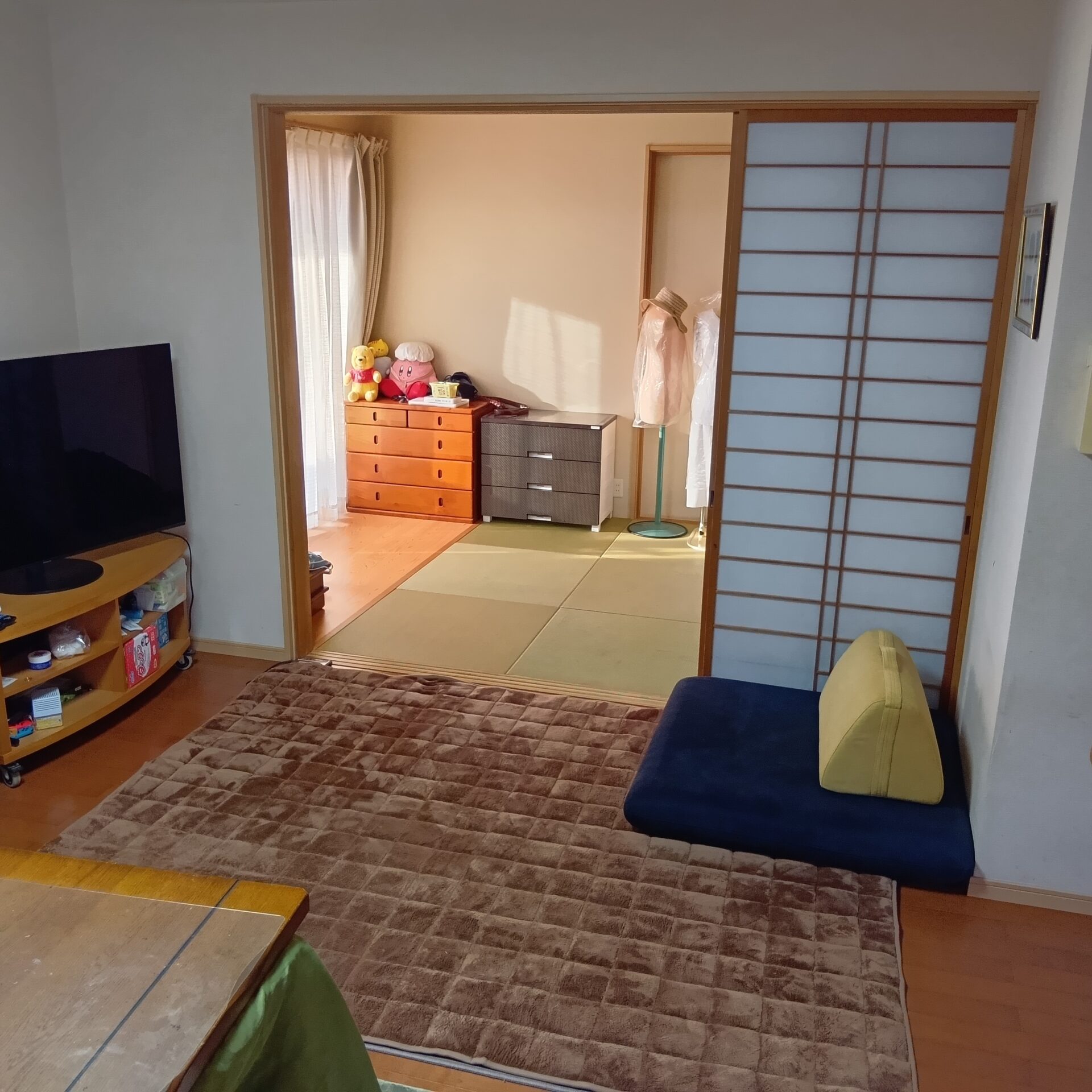 キャリーソファ ミッドナイト 1人掛けローソファ ローソファー