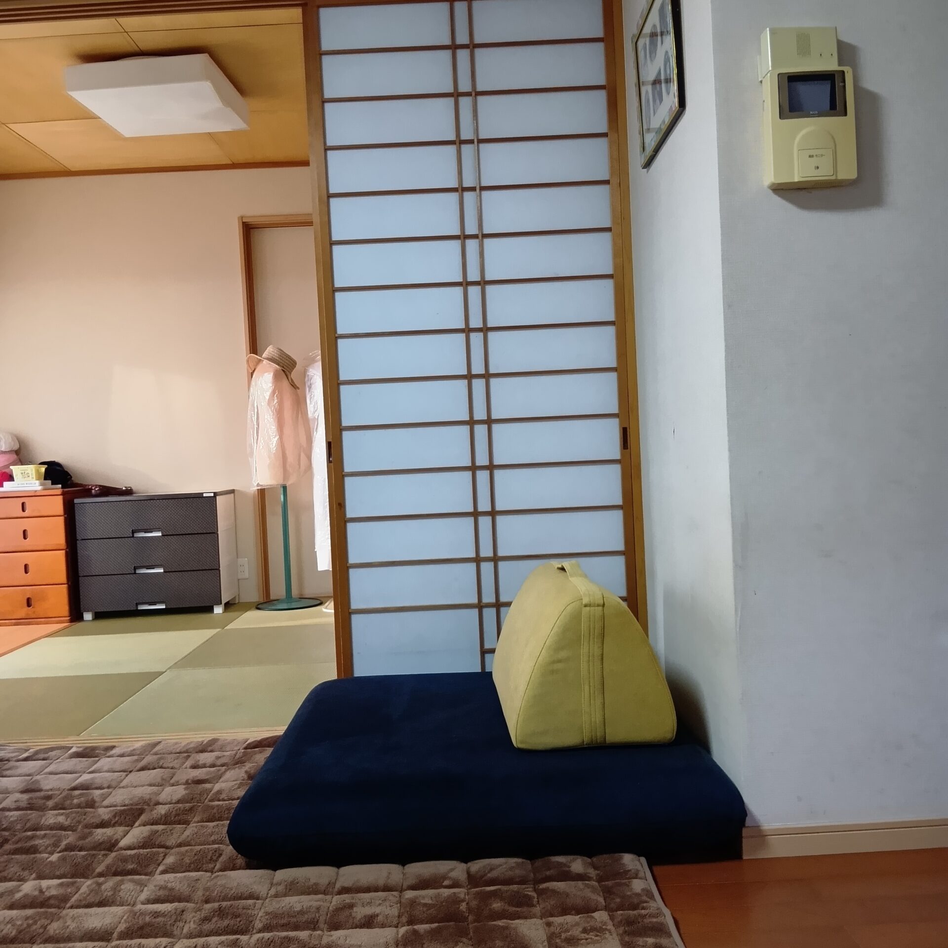 キャリーソファ ミッドナイト 1人掛けローソファ ローソファー