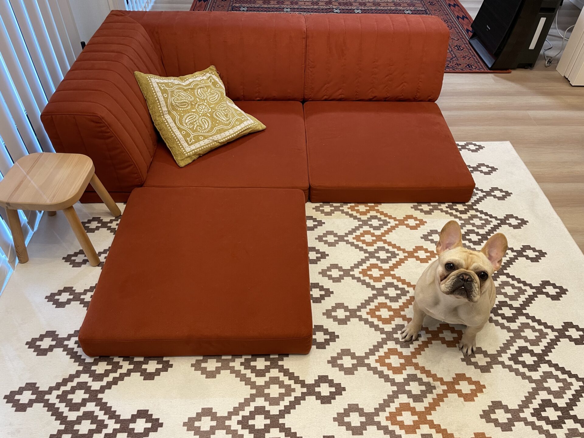 ピカソソファ テラコッタ 2人掛けローソファ ローソファー
