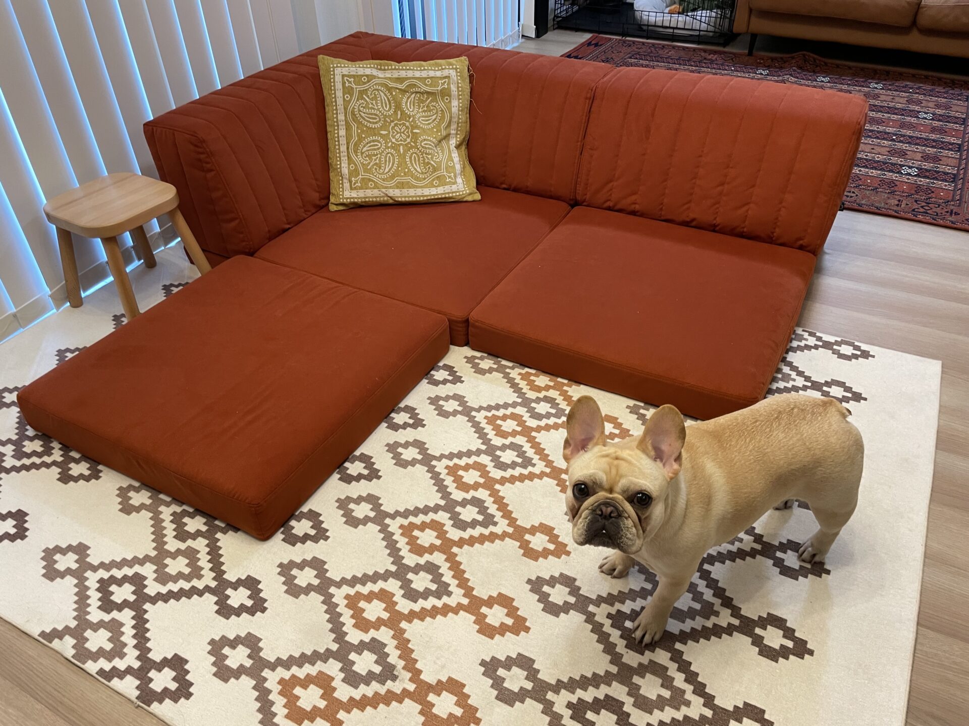 ピカソソファ テラコッタ 2人掛けローソファ ローソファー