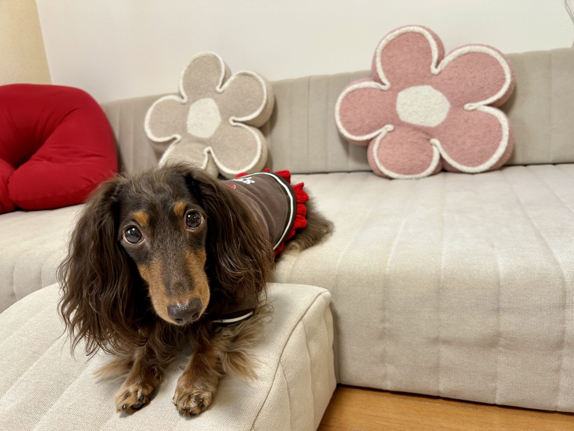 つみきソファ ヘンプ 3人掛けローソファ ローソファー