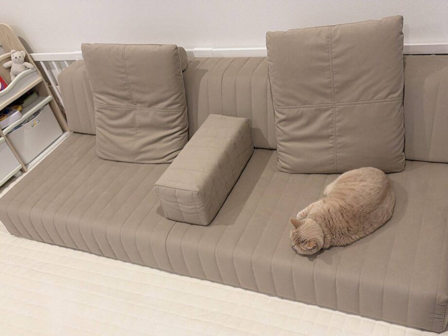子供と猫との暮らしに、ぴったりなラムースのローソファ。