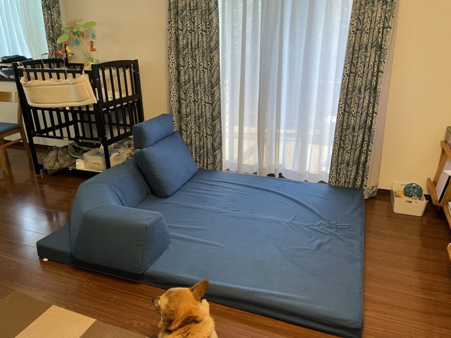 愛犬と赤ちゃんとの暮らしも安心!ひろびろくつろげるフロフロ。