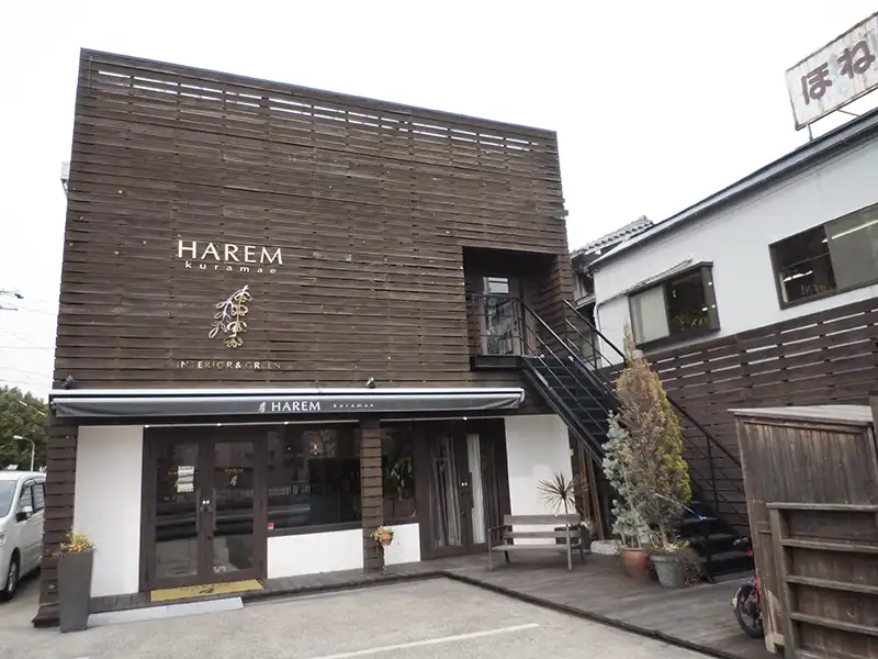 HAREMのHPが出来る