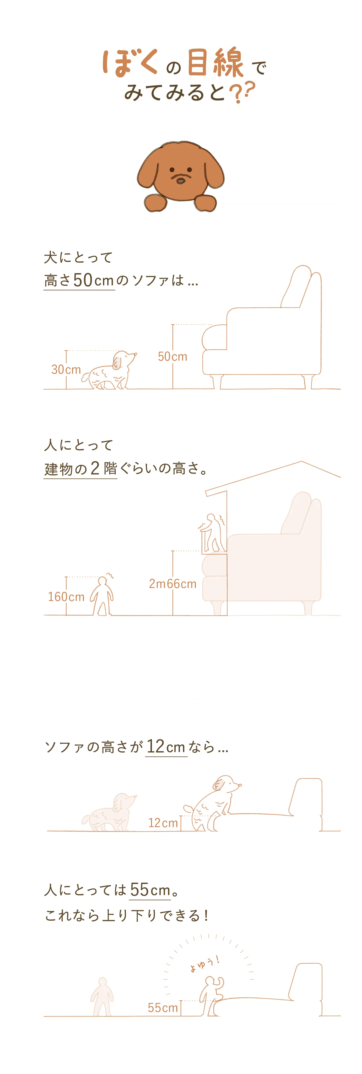 ローソファが愛犬との暮らしにいい理由