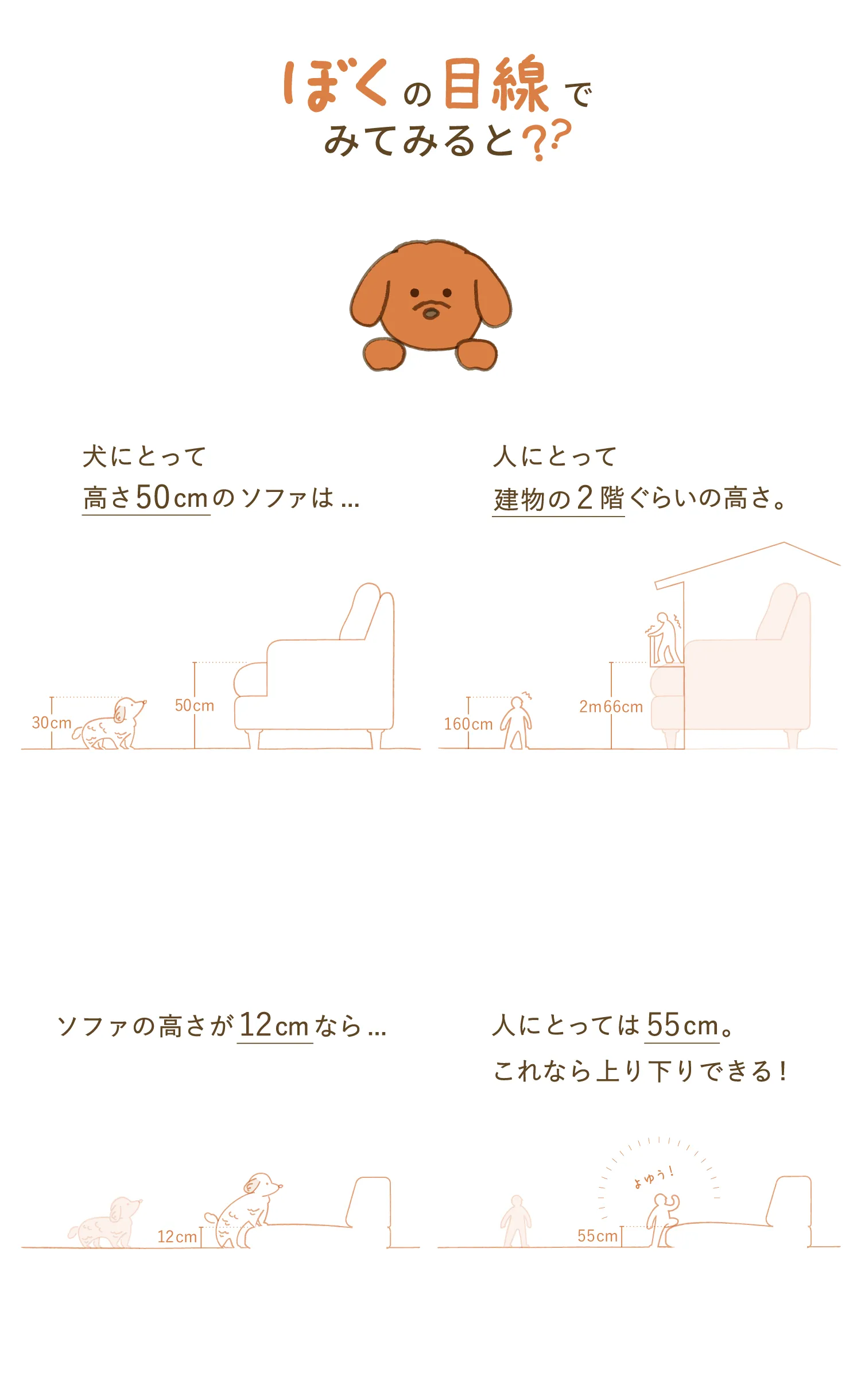 ローソファが愛犬との暮らしにいい理由